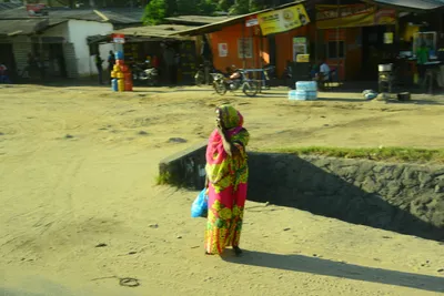 DSC_7778 (Large).JPG